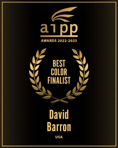 AIPP Best Color Finalist 2023