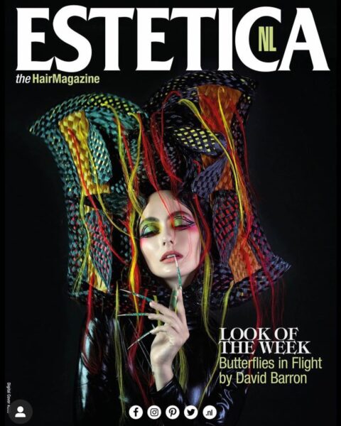 Butterflies Collection on the cover of Estetica