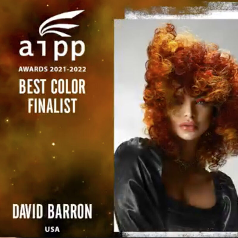 AIPP Best Hair Color Finalist 2021-22: David Barron