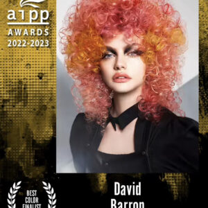 2023 AIPP Awards Finalist - David Barron - Best Colorist
