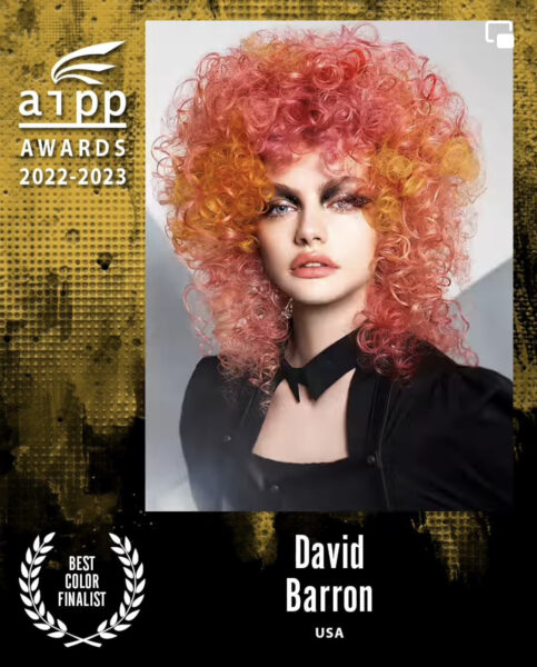 2023 AIPP Awards Finalist - David Barron - Best Colorist